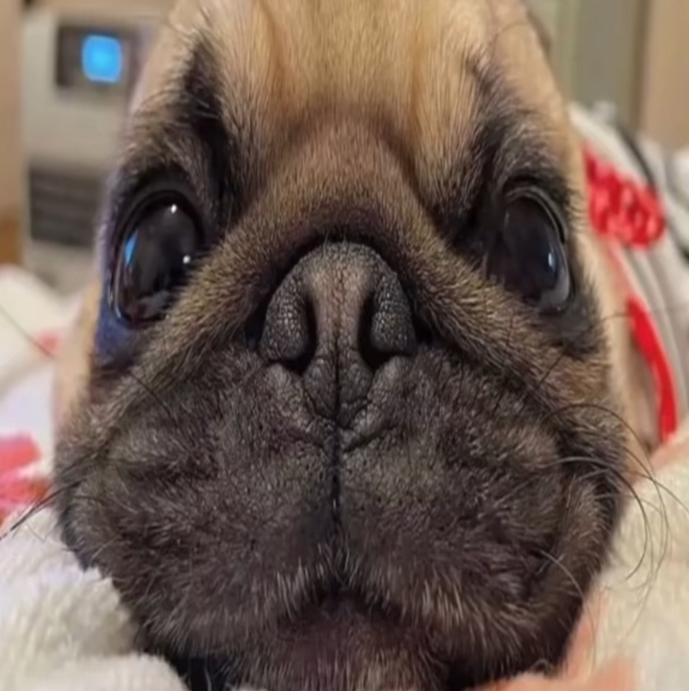 Meet your Posher, Erick